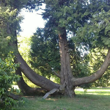 Vivre Nature Au Chateau Bed & Breakfast Poitiers