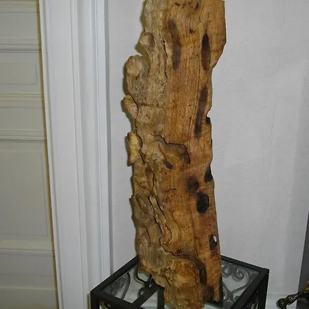 Vivre Nature Au Chateau * Poitiers