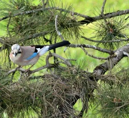Vivre Nature Au Chateau Poitiers